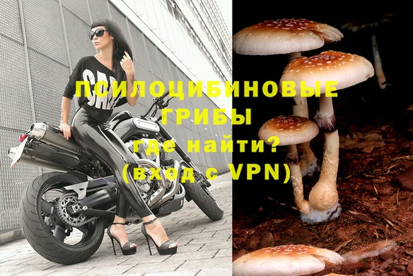 молекула духа Вязники